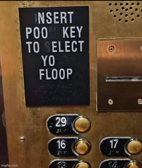 Insert poo key to elect yo floop ?️ | made w/ Imgflip meme maker