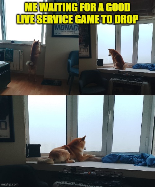 Waiting | ME WAITING FOR A GOOD LIVE SERVICE GAME TO DROP | image tagged in waiting,dog,escobar,grey | made w/ Imgflip meme maker