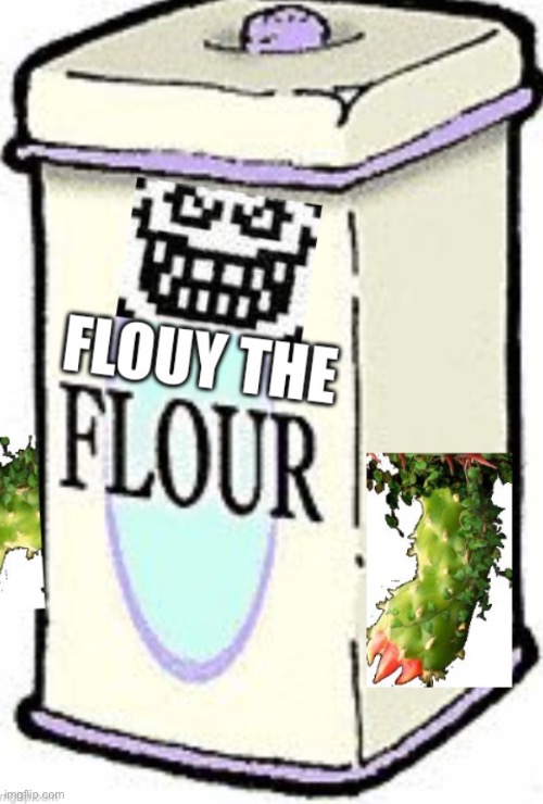 Flouy | made w/ Imgflip meme maker