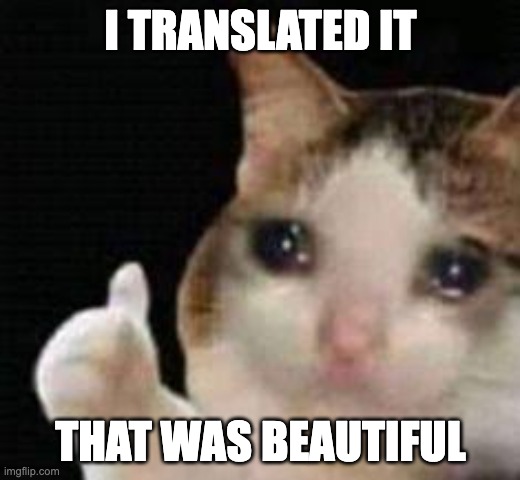 Approved crying cat | I TRANSLATED IT THAT WAS BEAUTIFUL | image tagged in approved crying cat | made w/ Imgflip meme maker