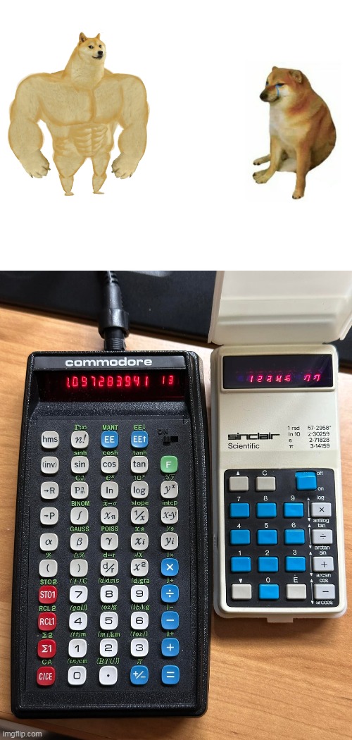 image tagged in memes,buff doge vs cheems | made w/ Imgflip meme maker