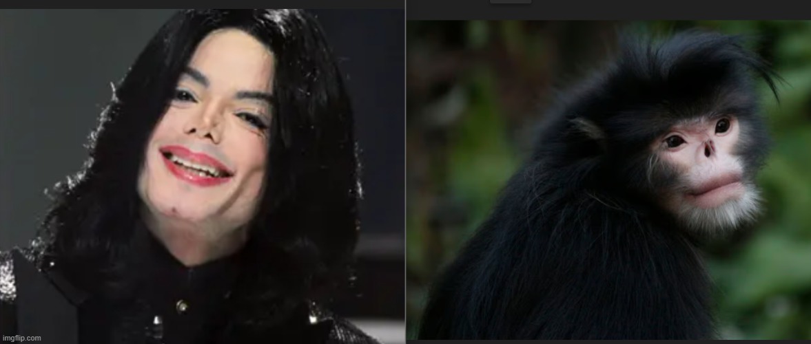 Michael? | made w/ Imgflip meme maker