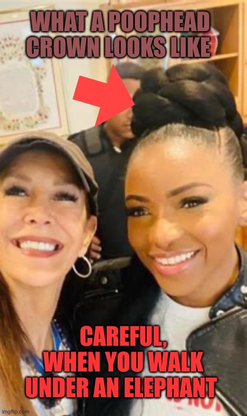 When you have 365 hairdos, all you’re left with is  the “poop on the head” look. | image tagged in gifs,jazzy,democratic socialism,democrats,hairstyle,poop | made w/ Imgflip meme maker