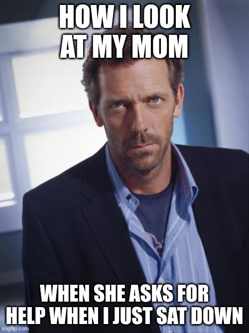 house md | HOW I LOOK AT MY MOM; WHEN SHE ASKS FOR HELP WHEN I JUST SAT DOWN | image tagged in house md | made w/ Imgflip meme maker