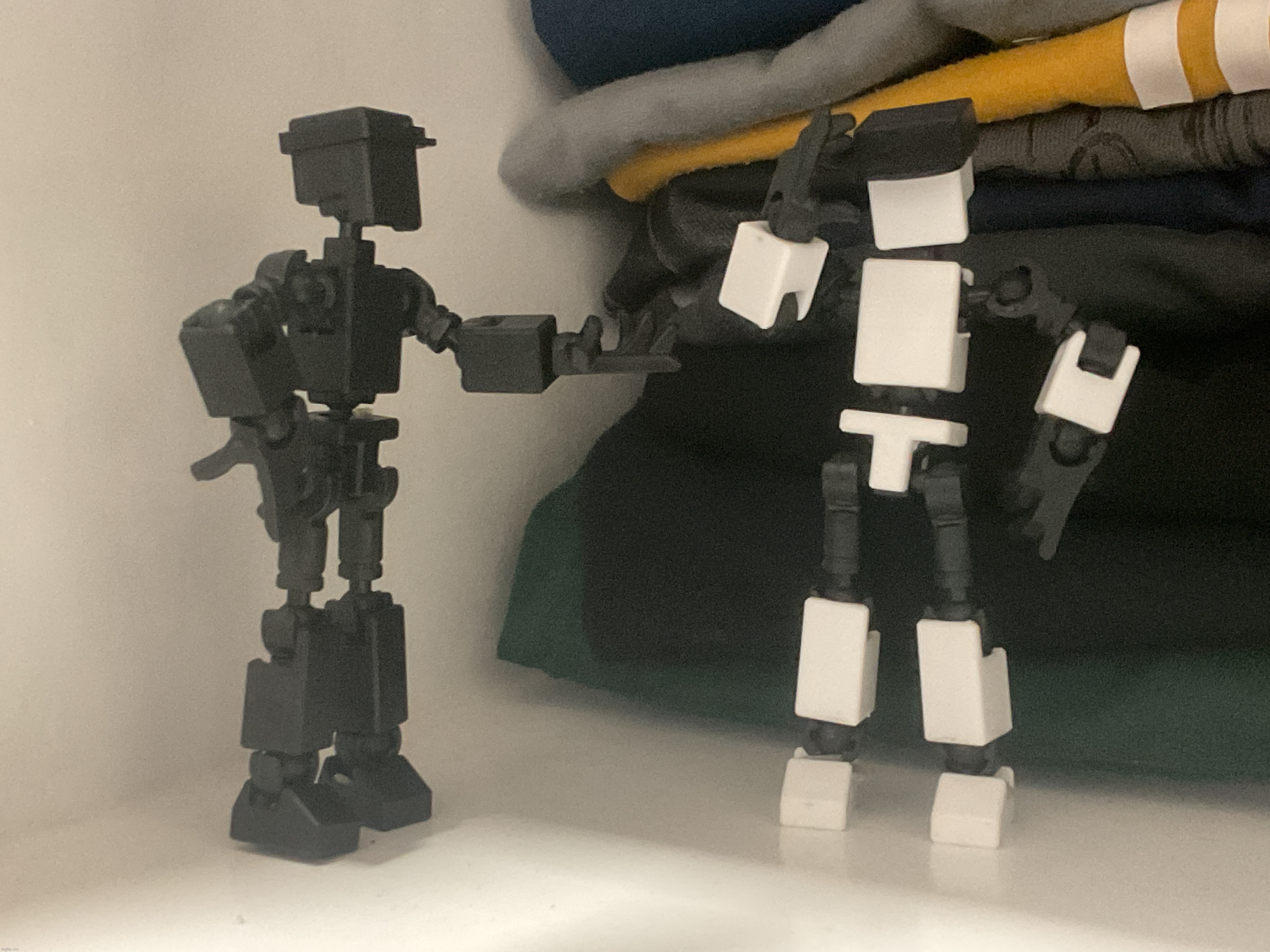 they arrived yesterday and their names are Shiro (on the right) and Kuro (on the left) | made w/ Imgflip meme maker