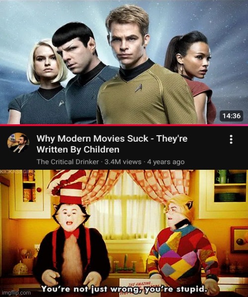 I hate some movie YouTubers, e.g the Critical Drinker | image tagged in you're not just wrong you're stupid,critics,youtube,hollywood,the cat in the hat | made w/ Imgflip meme maker