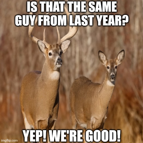 Is That The Same Guy From Last Year? | IS THAT THE SAME GUY FROM LAST YEAR? YEP! WE'RE GOOD! | image tagged in chrisjoines1 | made w/ Imgflip meme maker