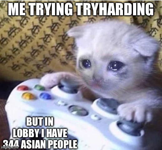 Sad gaming cat | ME TRYING TRYHARDING; BUT IN LOBBY I HAVE 344 ASIAN PEOPLE | image tagged in sad gaming cat | made w/ Imgflip meme maker