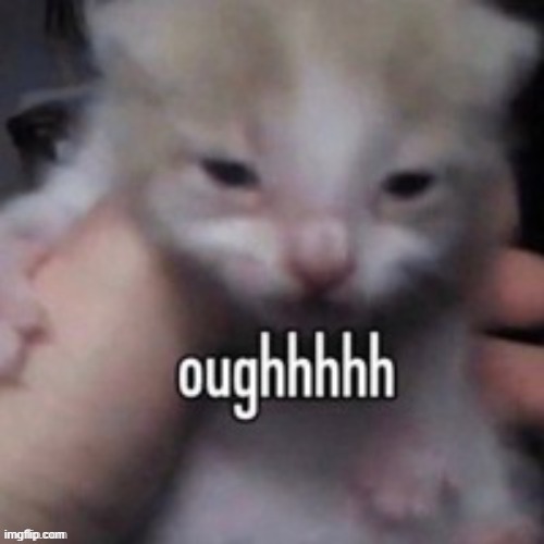 oughhhhh | image tagged in oughhhhh | made w/ Imgflip meme maker