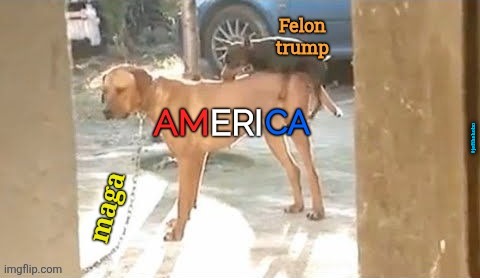 Screwing The Pooch | #jefthehobo | image tagged in jefthehobo,fdt,magats are traitors | made w/ Imgflip meme maker