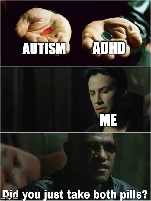 Did you just take both pills? | ADHD; AUTISM; ME | image tagged in did you just take both pills | made w/ Imgflip meme maker