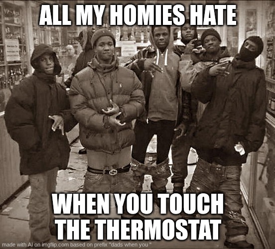dads in a nutshell | ALL MY HOMIES HATE; WHEN YOU TOUCH THE THERMOSTAT | image tagged in all my homies hate | made w/ Imgflip meme maker