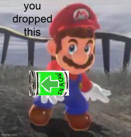 Mario You dropped this | image tagged in mario you dropped this | made w/ Imgflip meme maker