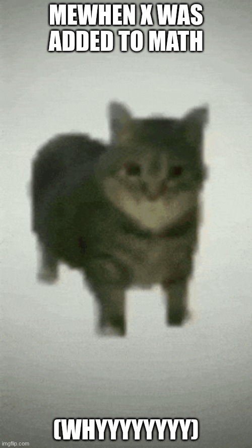 X added to math | MEWHEN X WAS ADDED TO MATH; (WHYYYYYYYY) | image tagged in math | made w/ Imgflip meme maker