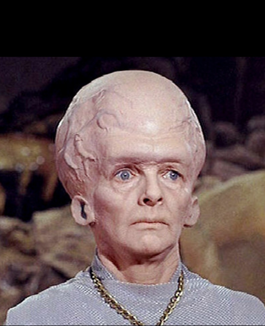 Know it All Blank Meme Template