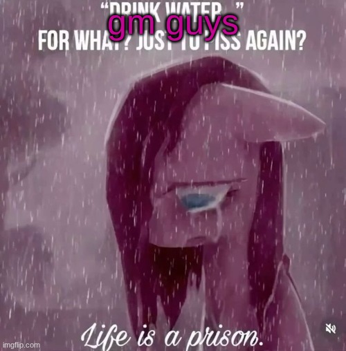 drink water... for what? just to piss again? life is a prison | gm guys | image tagged in drink water for what just to piss again life is a prison | made w/ Imgflip meme maker