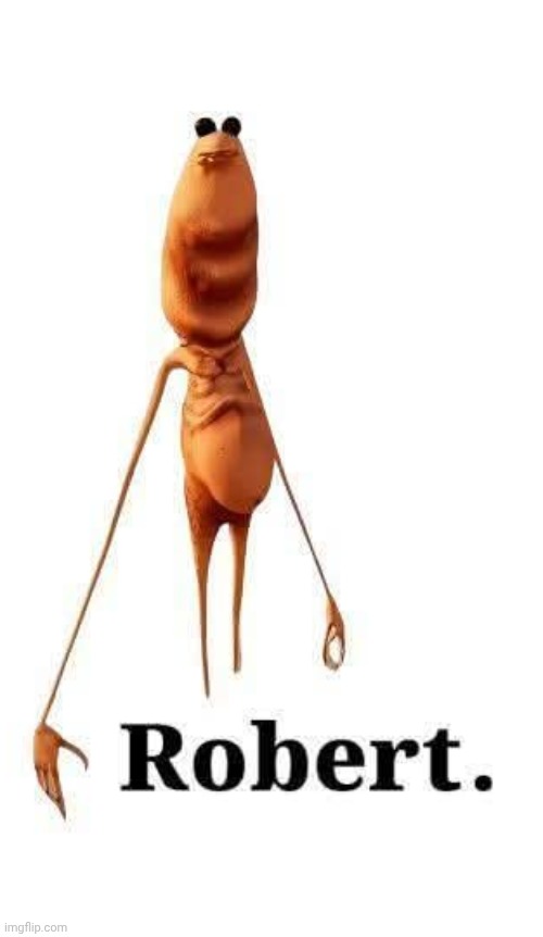 Robert. (He looks like je*fry) | image tagged in robert | made w/ Imgflip meme maker