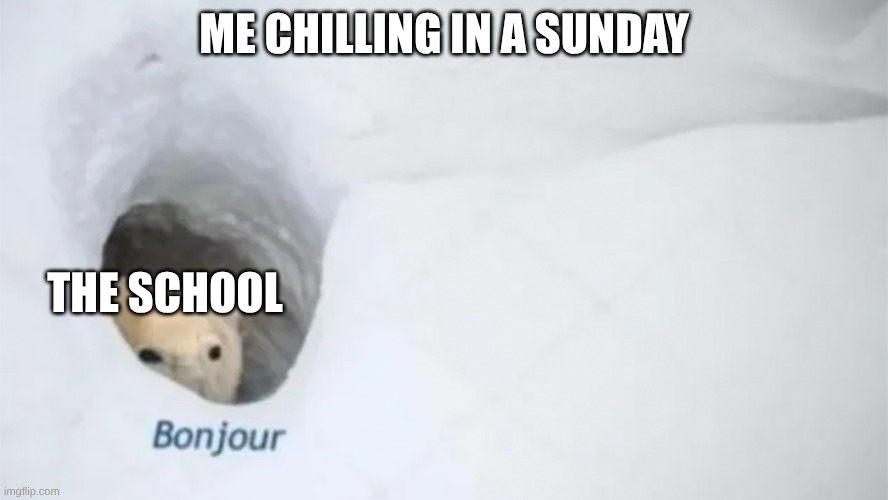 Bonjur | ME CHILLING IN A SUNDAY; THE SCHOOL | image tagged in bonjur | made w/ Imgflip meme maker