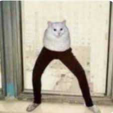 cat with legs :) Blank Meme Template