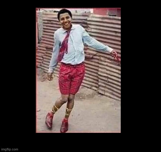 OBAMA GAY | image tagged in obama gay | made w/ Imgflip meme maker