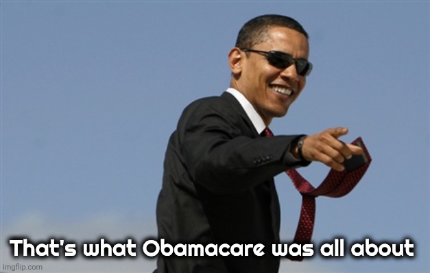 Cool Obama Meme | That's what Obamacare was all about | image tagged in memes,cool obama | made w/ Imgflip meme maker