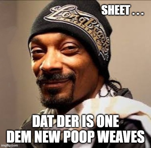 Snoop dogg high on weed | SHEET . . . DAT DER IS ONE DEM NEW POOP WEAVES | image tagged in snoop dogg high on weed | made w/ Imgflip meme maker