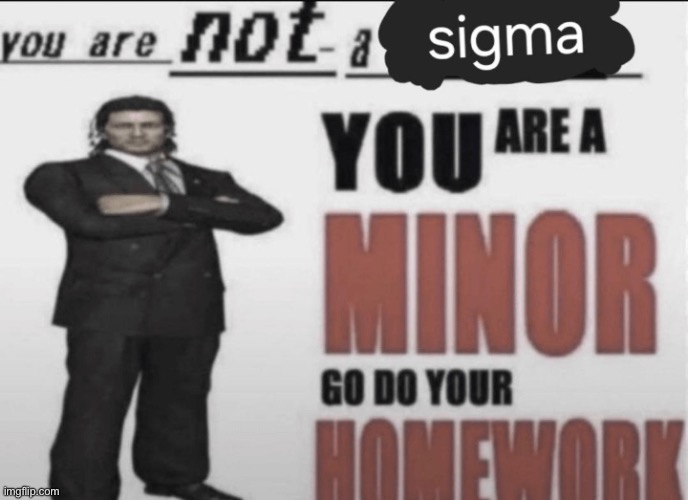 You Are A Minor Go Do Your Homework | image tagged in you are a minor go do your homework | made w/ Imgflip meme maker