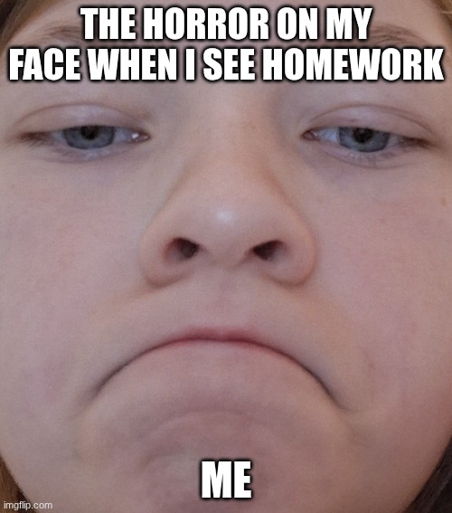 Grumpy gurl | THE HORROR ON MY FACE WHEN I SEE HOMEWORK; ME | image tagged in grumpy gurl | made w/ Imgflip meme maker