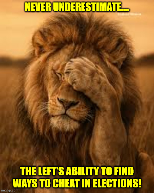 NEVER UNDERESTIMATE.... THE LEFT'S ABILITY TO FIND WAYS TO CHEAT IN ELECTIONS! | made w/ Imgflip meme maker