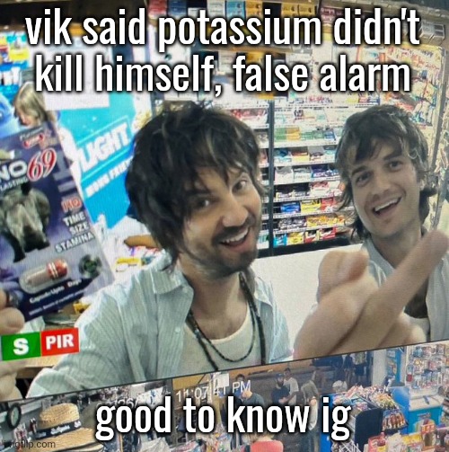 Kevin Parker and Joe Keery | vik said potassium didn't kill himself, false alarm; good to know ig | image tagged in kevin parker and joe keery | made w/ Imgflip meme maker