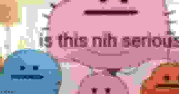 is this nih serious | image tagged in is this nih serious | made w/ Imgflip meme maker