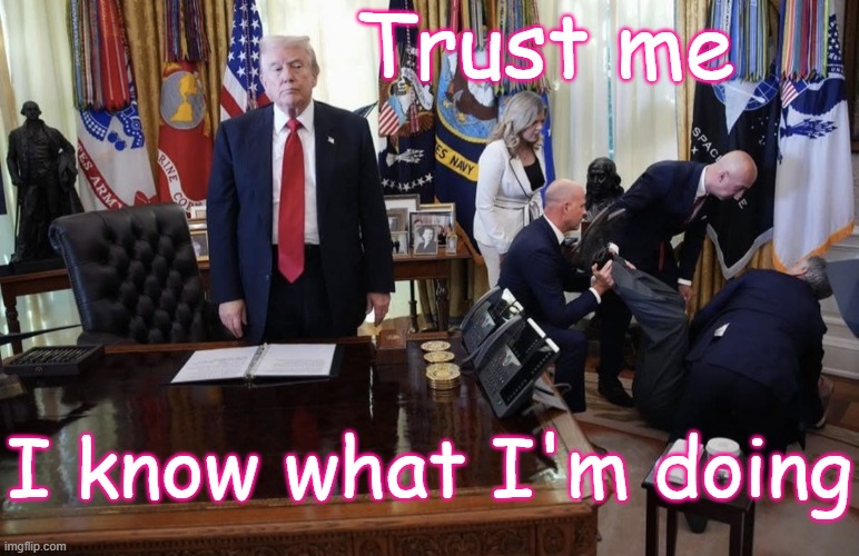 Donald Trump - Trust me.  I know what I'm doing | Trust me; I know what I'm doing | image tagged in republican,maga,oligarchy,autocracy,dictatorship,dementia | made w/ Imgflip meme maker
