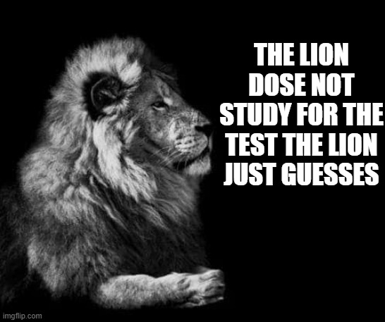 no study | THE LION DOSE NOT STUDY FOR THE TEST THE LION JUST GUESSES | image tagged in the lion | made w/ Imgflip meme maker