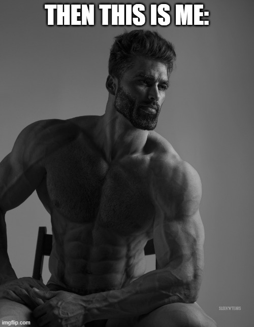Giga Chad | THEN THIS IS ME: | image tagged in giga chad | made w/ Imgflip meme maker