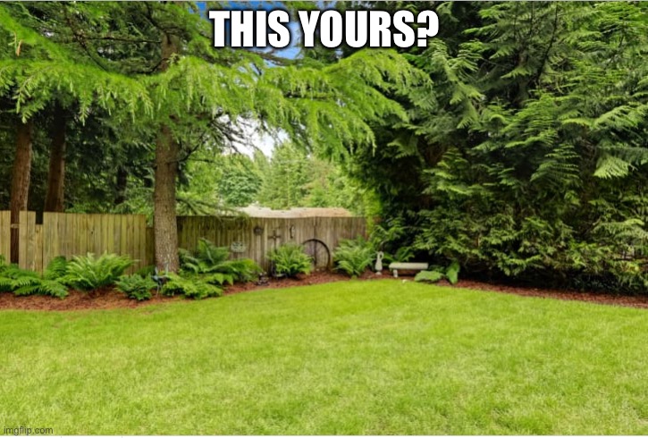 Sunny Backyard | THIS YOURS? | image tagged in sunny backyard | made w/ Imgflip meme maker