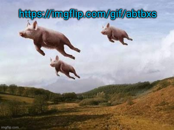 plug | https://imgflip.com/gif/abtbxs | image tagged in pigs fly | made w/ Imgflip meme maker