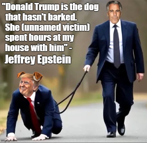 Trump is the dog that hasn't barked! Jeffrey Epstein in an email to Ghislaine Maxwell | "Donald Trump is the dog
  that hasn't barked. She (unnamed victim)
  spent hours at my
  house with him" -; Jeffrey Epstein | image tagged in donald trump,jeffrey epstein,pedophiles,epstein files | made w/ Imgflip meme maker
