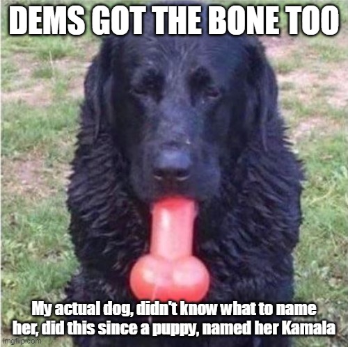 DEMS GOT THE BONE TOO My actual dog, didn't know what to name her, did this since a puppy, named her Kamala | made w/ Imgflip meme maker