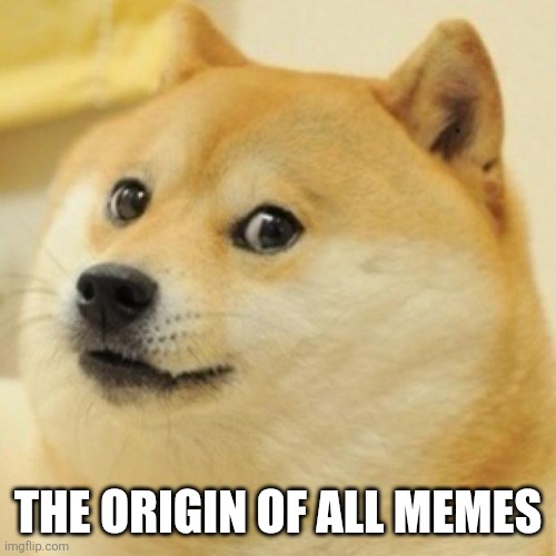 wow doge | THE ORIGIN OF ALL MEMES | image tagged in wow doge | made w/ Imgflip meme maker