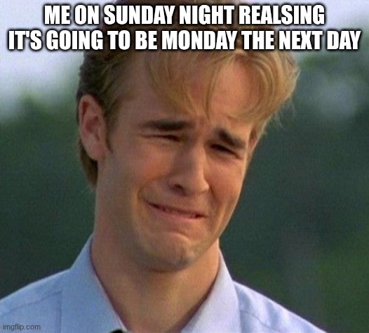 1990s First World Problems Meme | ME ON SUNDAY NIGHT REALSING IT'S GOING TO BE MONDAY THE NEXT DAY | image tagged in memes,1990s first world problems | made w/ Imgflip meme maker