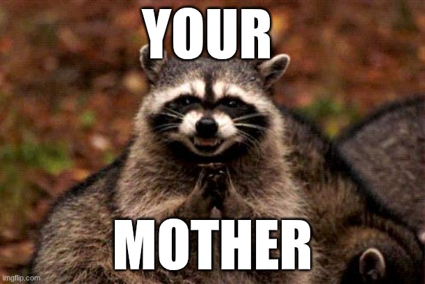 Evil Plotting Raccoon | YOUR; MOTHER | image tagged in memes,evil plotting raccoon | made w/ Imgflip meme maker