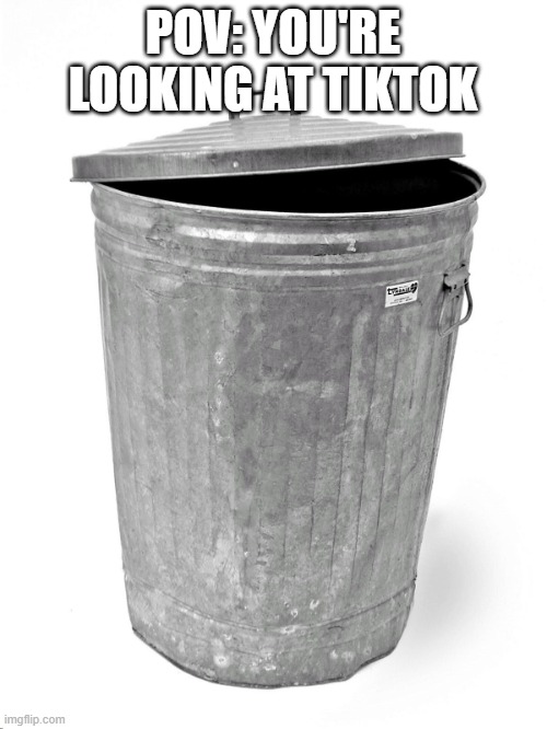 Trash Can | POV: YOU'RE LOOKING AT TIKTOK | image tagged in trash can | made w/ Imgflip meme maker
