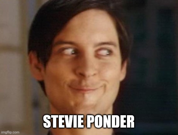 Spiderman Peter Parker Meme | STEVIE PONDER | image tagged in memes,spiderman peter parker | made w/ Imgflip meme maker