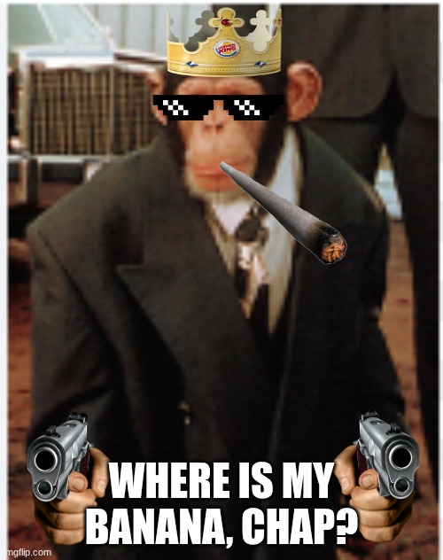 Banana | WHERE IS MY BANANA, CHAP? | image tagged in monkey | made w/ Imgflip meme maker