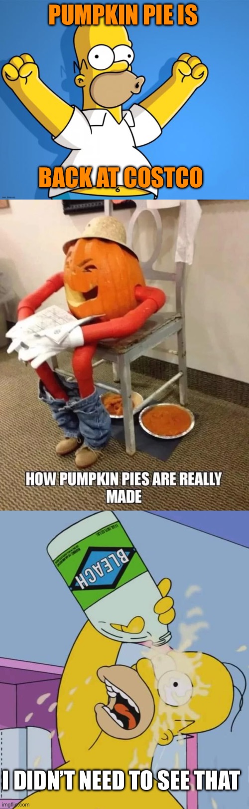 For all the pumpkin pie lovers! | PUMPKIN PIE IS; BACK AT COSTCO; I DIDN’T NEED TO SEE THAT | image tagged in woohoo homer simpson,homer with bleach,pumpkin pie,costco,how pumpkin pie is made | made w/ Imgflip meme maker