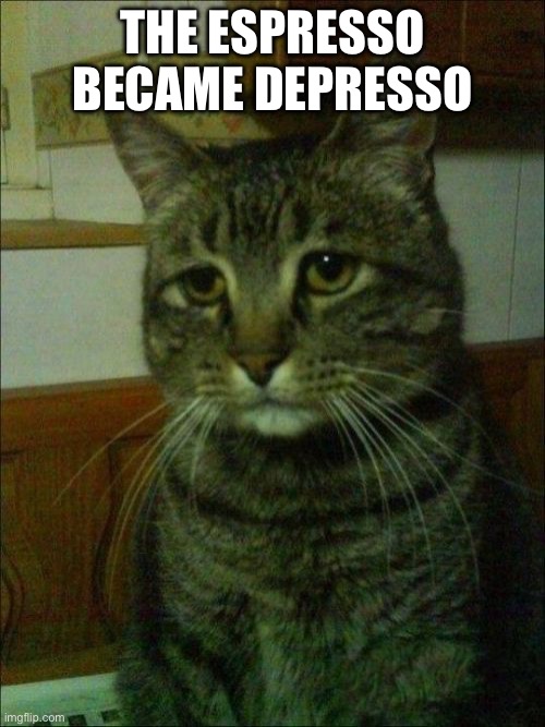 Sabrina Carpenter is very mad… | THE ESPRESSO BECAME DEPRESSO | image tagged in memes,depressed cat | made w/ Imgflip meme maker
