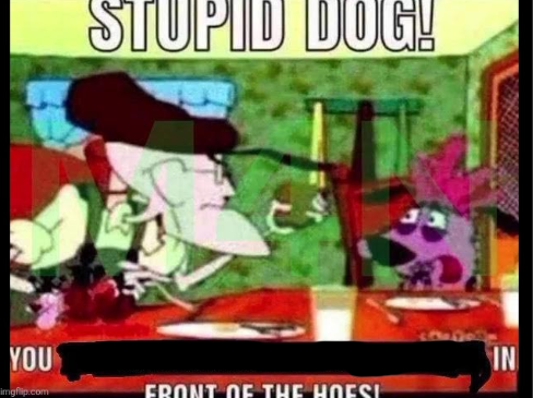 High Quality you stupid dog! you x in front of the hoes Blank Meme Template