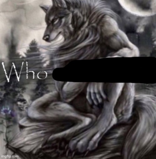 who | image tagged in who unfollowed | made w/ Imgflip meme maker