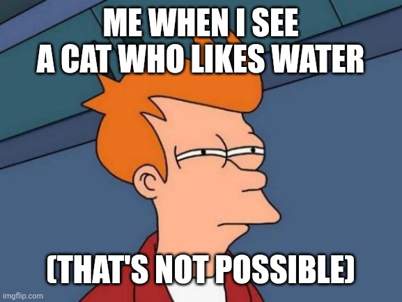Impossible cat feature | ME WHEN I SEE A CAT WHO LIKES WATER; (THAT'S NOT POSSIBLE) | image tagged in memes,futurama fry | made w/ Imgflip meme maker