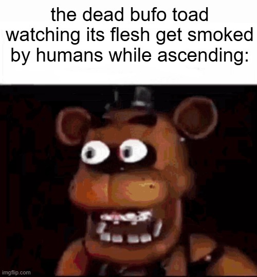 slimed out a whole toad jus to see things | the dead bufo toad watching its flesh get smoked by humans while ascending: | image tagged in shocked freddy fazbear | made w/ Imgflip meme maker